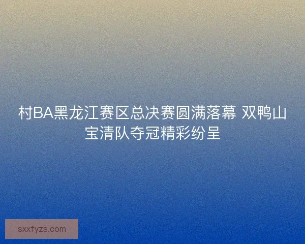 村BA黑龙江赛区总决赛圆满落幕 双鸭山宝清队夺冠精彩纷呈